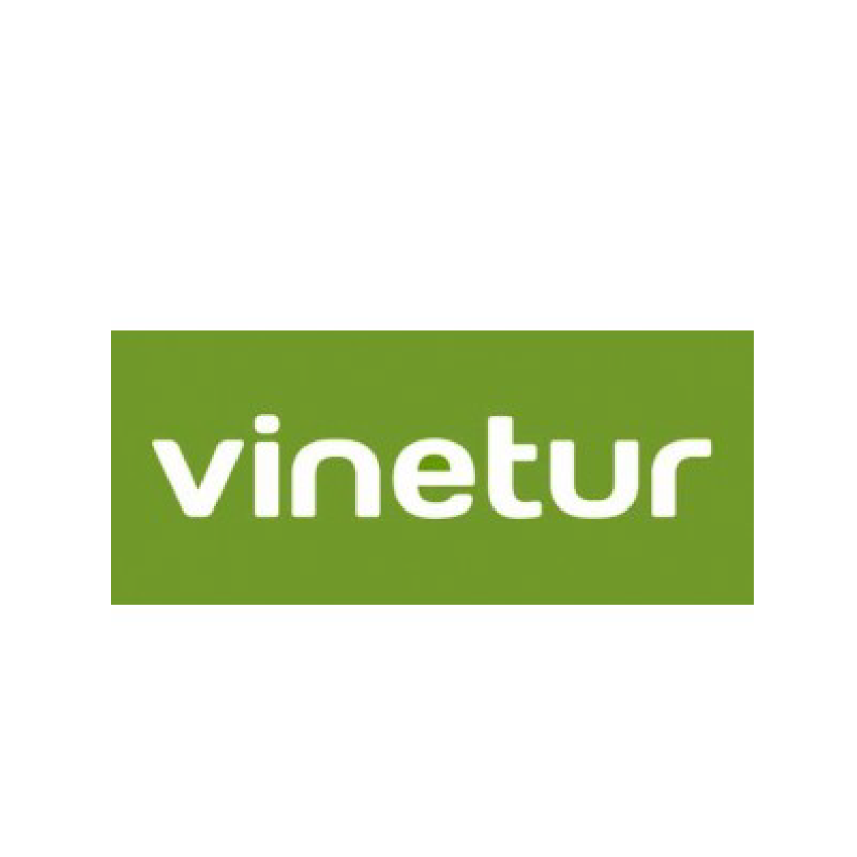 logo Vinetur