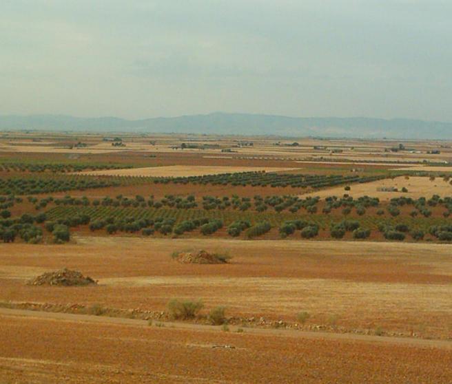 fotografia-de-campo-de-calatrava-1.r_d.1424-1791-3005