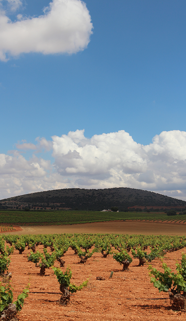 CampoBiodiversidad
