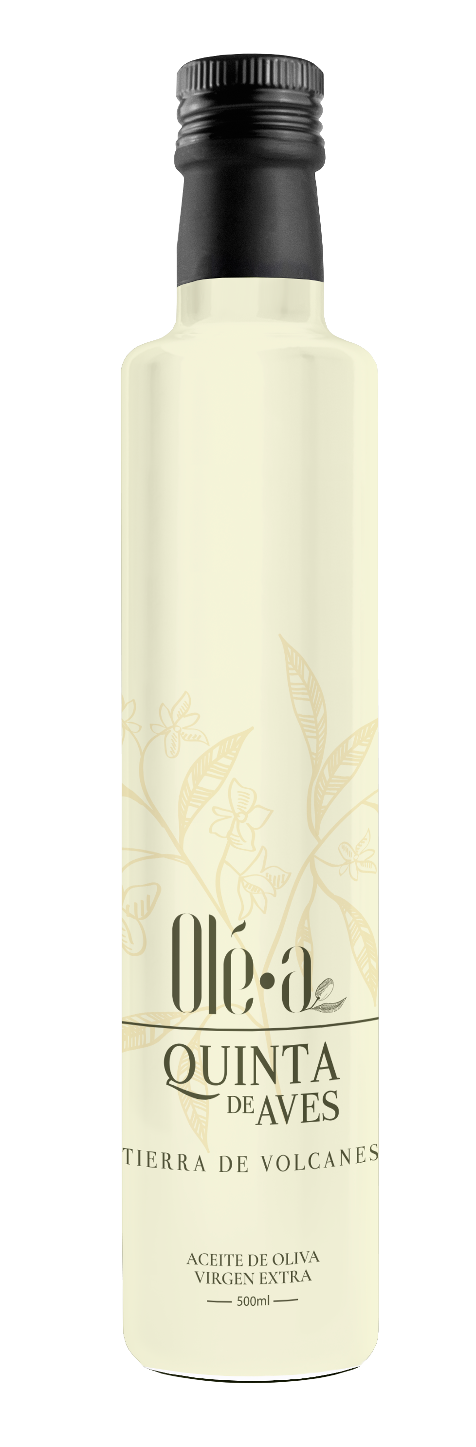 Ole-A_ACEITE_QdA