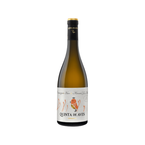 botella sauvignon blanc & moscatel
